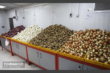 صد و سی و نهمین پویش امید و افتخار 24