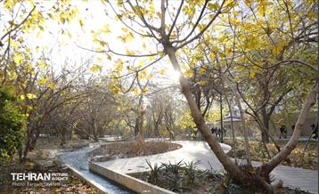 هشتادوششمین رویداد امیدوافتخار 32