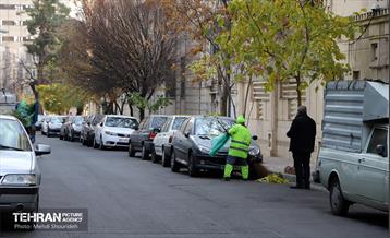 طرح تحول نگهداشت شهر در منطقه 7