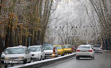 بارش نخستین برف زمستانی در تهران 19