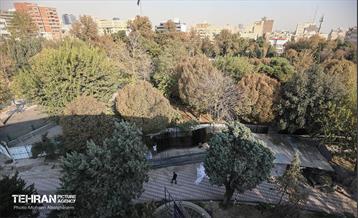 اینجا کارگاهه؛ محوطه سازی حریم تئاتر شهر 46