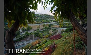 بوستان نهج البلاغه (فاز2) 37