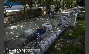 بلوار کشاورز 15