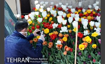 پیاده راه لاله مادران 31