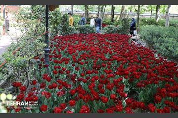 بازدید اصحاب رسانه از باغ ایرانی 7