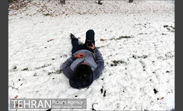 بارش برف پاییزی در تهران 28