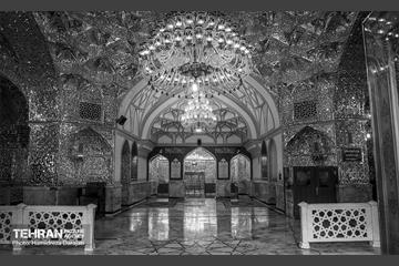 تجلی «حب‌الحسین یـجمعنا» 6