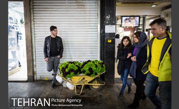 تهران یک شب مانده به یلدا 11