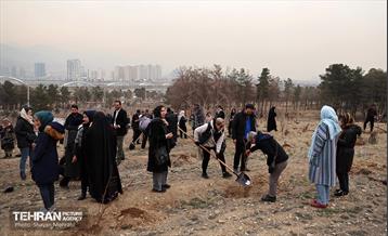 کاشت 2000 نهال مثمر در بوستان جنگلی چیتگر 25