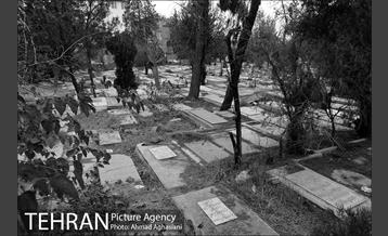 گورستان امام‌زاده عبدالله شهر ری 25