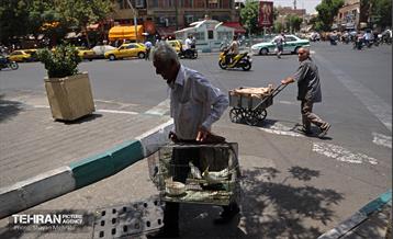 زندگی در تهران جاریست... 10