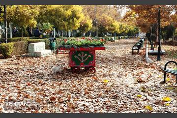 گذر پاییزی بوستان رازی 4
