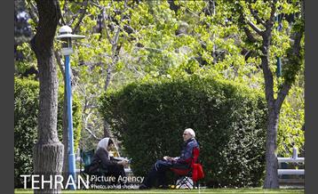روز طبیعت در بوستان گفتگو 17