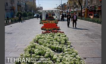 نمایشگاه گل و گیاه نوروزی در پیاده راه ۱۷ شهریور