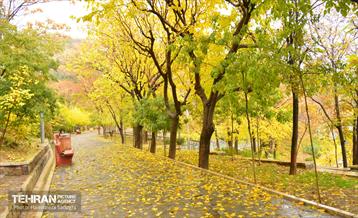 هوای پاییزی پایتخت 16