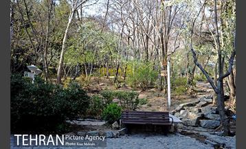 بوستان جمشیدیه (باغ سنگی جمشیدیه) 23