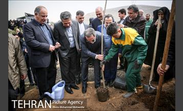 آئین کاشت نهال در بوستان جنگلی سرخه حصار 13