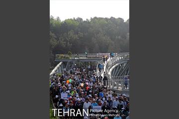 همایش پیاده روی خانوادگی کارکنان شهرداری 15
