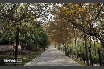 طبیعت پاییزی باغ راه فدک تهران 31