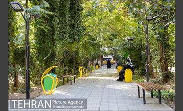 بوستان هورفر 8