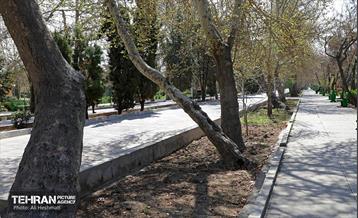 بهار در منطقه 18 9