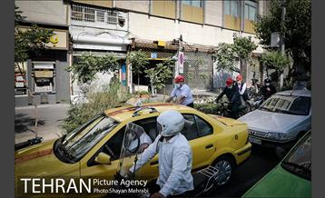 پویش سه شنبه های بدون خودرو 23