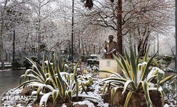 روز برفی تهران - 3 43