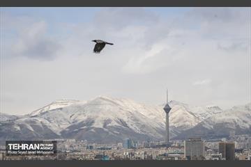 تهران 13