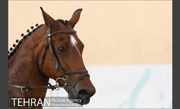 رقابت های بین المللی پرش با اسب بزرگسالان 10