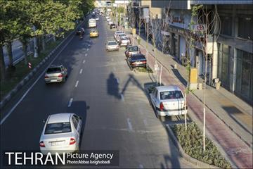 پارک خودرو‌ بین درختان چنار 19