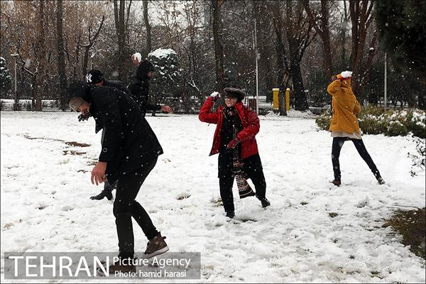 روز برفی بلوار کشاورز 12
