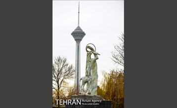 باغ راه فدک 7