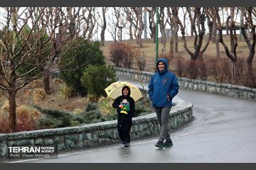 بارش باران زمستانی در تهران 31