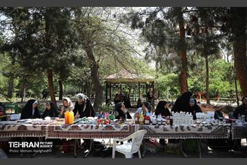 جشنواره غذای سالم 25