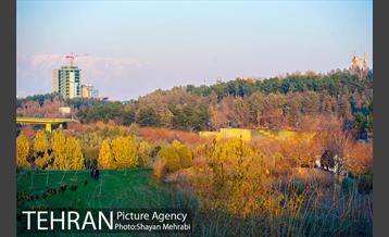 پاییز اراضی عباس آباد 27