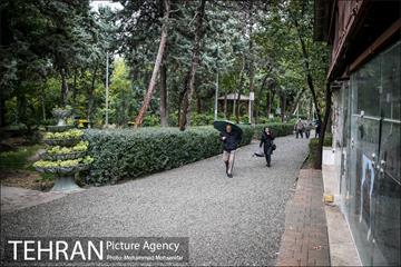 بارش باران پاییزی در تهران 9