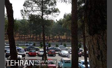 کارناوال ماشین های کلاسیک 26