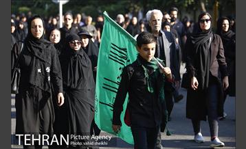 پیاده روی جامندگان اربعین حسینی (ع) در تهران 11