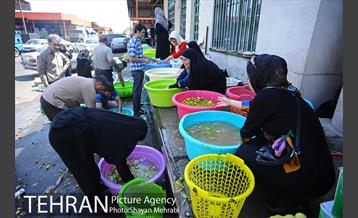 بازار میوه تربار مرکزی 3