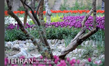 باغ ایراتی (بوستان مهندس مختاری) 8