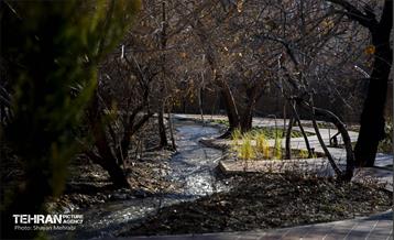 باغ گلاریس 26