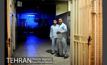 گرمخانه ها 1