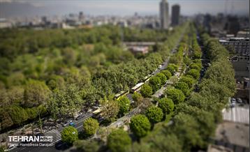 بلوار کشاورز / حمید رضا درجاتی