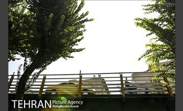 پل‌های تهران؛ پل چوبی 9