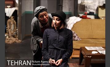 نمایش اثر پرتوهای گاما بر گل های همیشه بهار 6