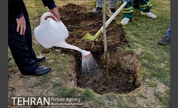 روز درختکاری در گنبد مینا 3