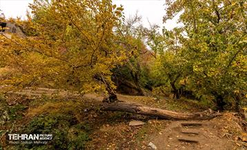 رود دره فرحزاد 51