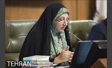 جلسه شورای شهر‎ 5