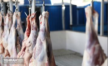 مرکز عرضه دام بهداشتی به مناسبت عید قربان 38