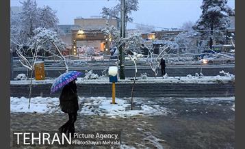 صبح برفی تهران 35